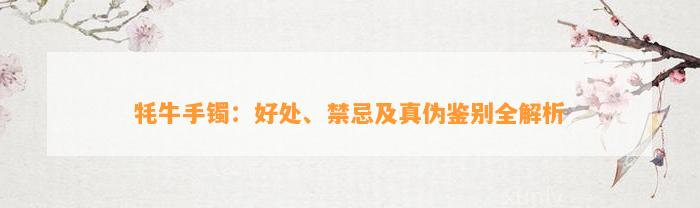 牦牛手镯：好处、禁忌及真伪鉴别全解析