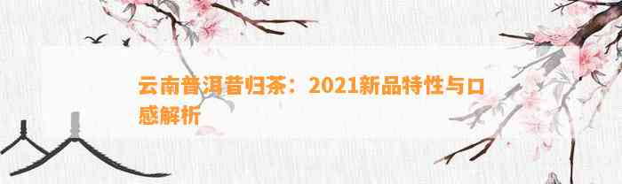 云南普洱昔归茶：2021新品特性与口感解析