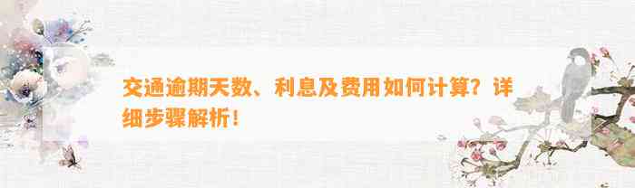 交通逾期天数、利息及费用怎样计算？详细步骤解析！