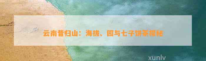 云南昔归山：海拔、园与七子饼茶探秘