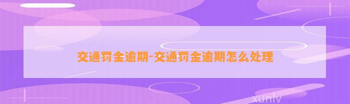 交通罚金逾期-交通罚金逾期怎么解决