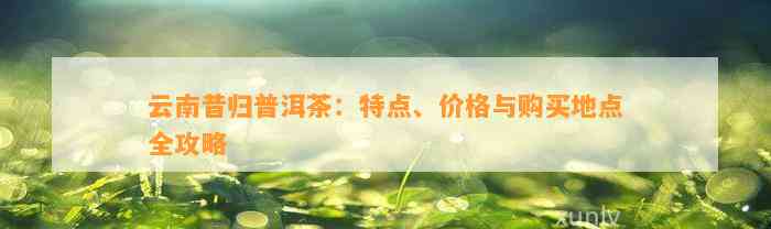 云南昔归普洱茶：特点、价格与购买地点全攻略