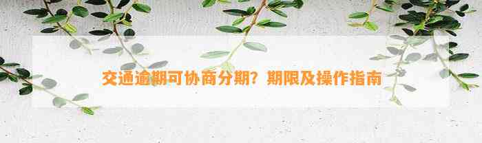 交通逾期可协商分期？期限及操作指南