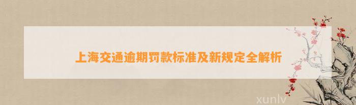 上海交通逾期罚款标准及新规定全解析