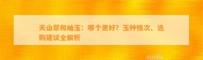 天山翠和岫玉：哪个更好？玉种档次、选购建议全解析