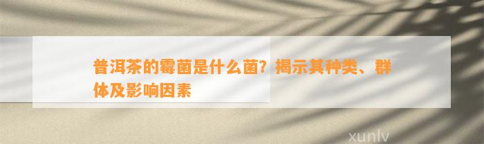 普洱茶的霉菌是什么菌？揭示其种类、群体及影响因素