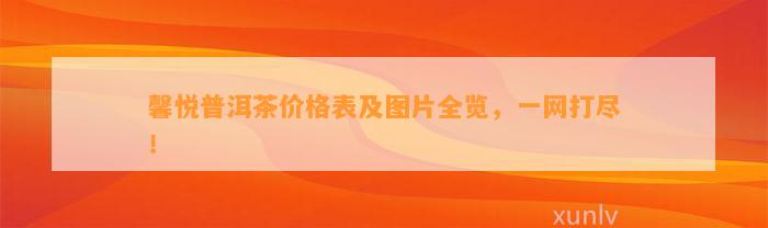 馨悦普洱茶价格表及图片全览，一网打尽！