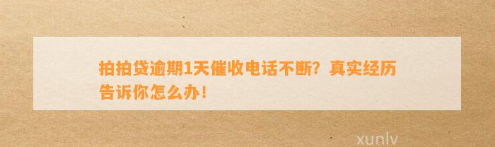 拍拍贷逾期1天催收电话不断？真实经历告诉你怎么办！