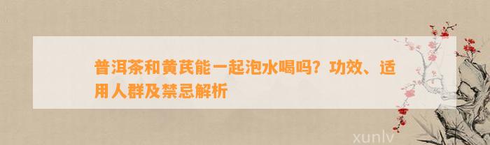 普洱茶和黄芪能一起泡水喝吗？功效、适用人群及禁忌解析