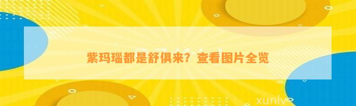 紫玛瑙都是舒俱来？查看图片全览