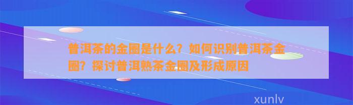 普洱茶的金圈是什么？怎样识别普洱茶金圈？探讨普洱熟茶金圈及形成起因