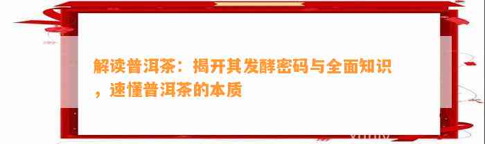 解读普洱茶：揭开其发酵密码与全面知识，速懂普洱茶的本质