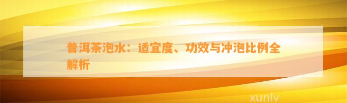 普洱茶泡水：适宜度、功效与冲泡比例全解析