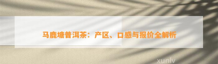 马鹿塘普洱茶：产区、口感与报价全解析