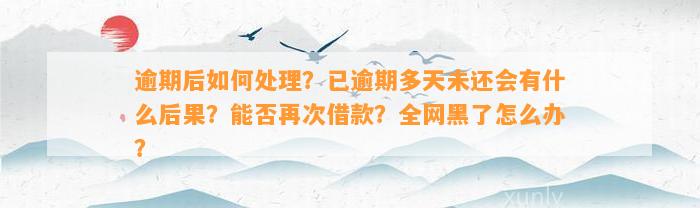 逾期后如何处理？已逾期多天未还会有什么后果？能否再次借款？全网黑了怎么办？