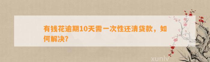 有钱花逾期10天需一次性还清贷款，如何解决？