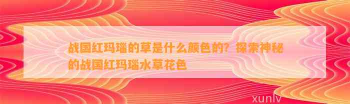 战国红玛瑙的草是什么颜色的？探索神秘的战国红玛瑙水草花色