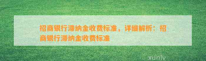 招商银行滞纳金收费标准，详细解析：招商银行滞纳金收费标准