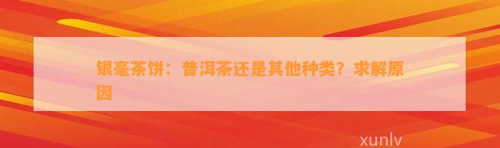 银毫茶饼：普洱茶还是其他种类？求解起因