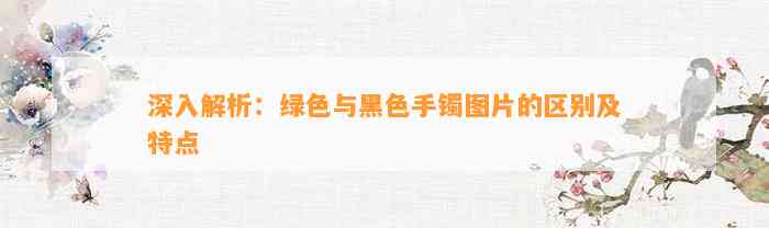 深入解析：绿色与黑色手镯图片的区别及特点