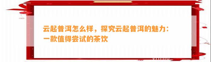 云起普洱怎么样，探究云起普洱的魅力：一款值得尝试的茶饮