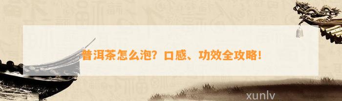 普洱茶怎么泡？口感、功效全攻略！