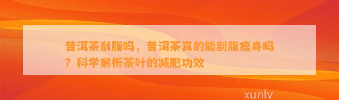 普洱茶刮脂吗，普洱茶真的能刮脂瘦身吗？科学解析茶叶的减肥功效