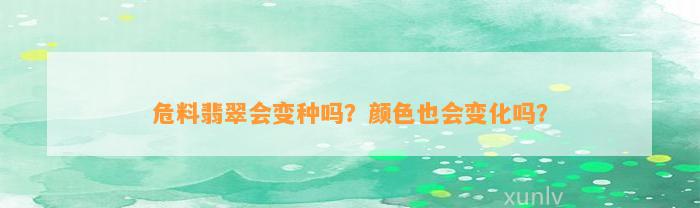 危料翡翠会变种吗？颜色也会变化吗？