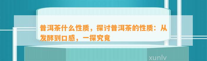 普洱茶什么性质，探讨普洱茶的性质：从发酵到口感，一探究竟