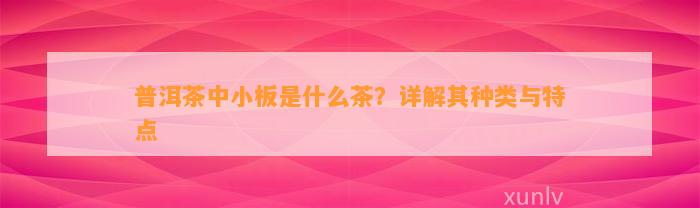 普洱茶中小板是什么茶？详解其种类与特点