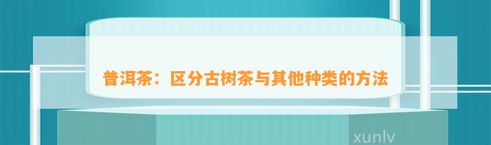 普洱茶：区分古树茶与其他种类的方法