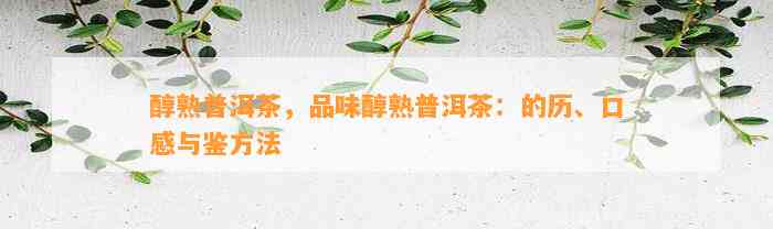 醇熟普洱茶，品味醇熟普洱茶：的历、口感与鉴方法