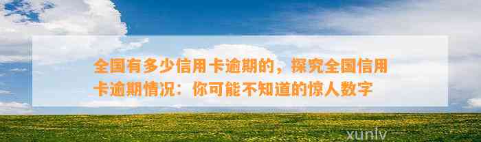 全国有多少信用卡逾期的，探究全国信用卡逾期情况：你可能不知道的惊人数字