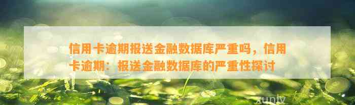 信用卡逾期报送金融数据库严重吗，信用卡逾期：报送金融数据库的严重性探讨