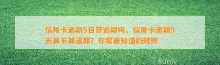 信用卡逾期5日算逾期吗，信用卡逾期5天算不算逾期？你需要知道的规则