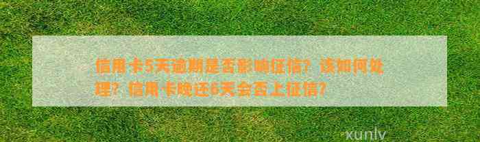 信用卡5天逾期是否影响征信？该如何处理？信用卡晚还6天会否上征信？