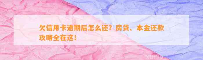 欠信用卡逾期后怎么还？房贷、本金还款攻略全在这！