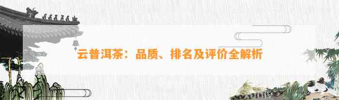 云普洱茶：品质、排名及评价全解析