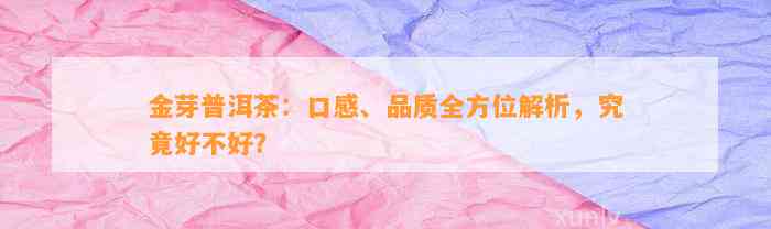 金芽普洱茶：口感、品质全方位解析，究竟好不好？