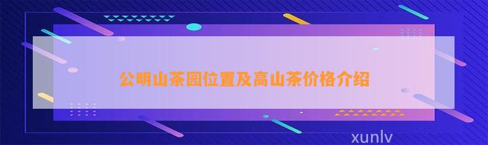 公明山茶园位置及高山茶价格介绍