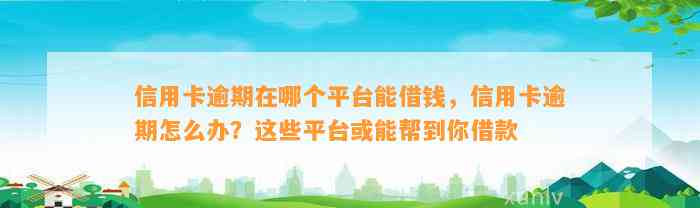 信用卡逾期在哪个平台能借钱，信用卡逾期怎么办？这些平台或能帮到你借款