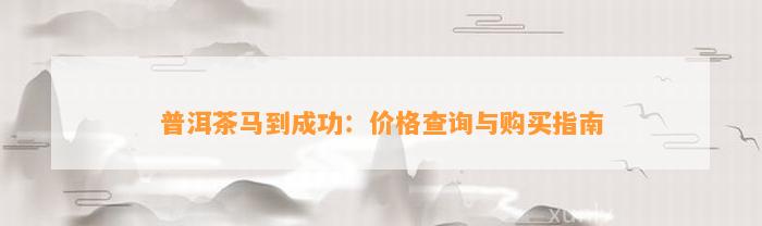 普洱茶马到成功：价格查询与购买指南