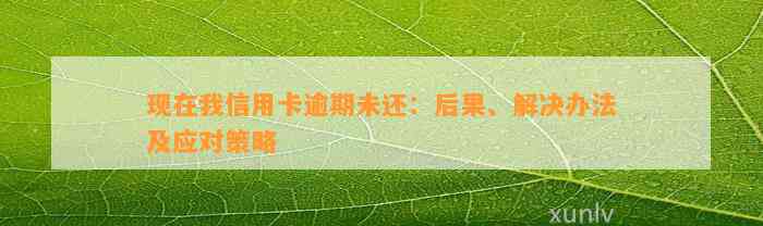 现在我信用卡逾期未还：后果、解决办法及应对策略