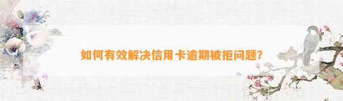 如何有效解决信用卡逾期被拒问题？