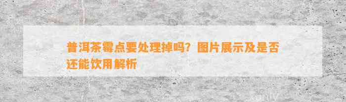 普洱茶霉点要解决掉吗？图片展示及是不是还能饮用解析