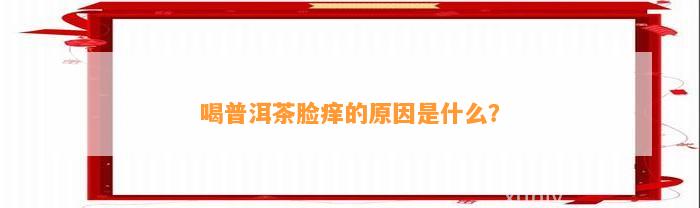 喝普洱茶脸痒的起因是什么？