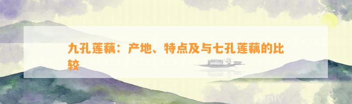 九孔莲藕：产地、特点及与七孔莲藕的比较