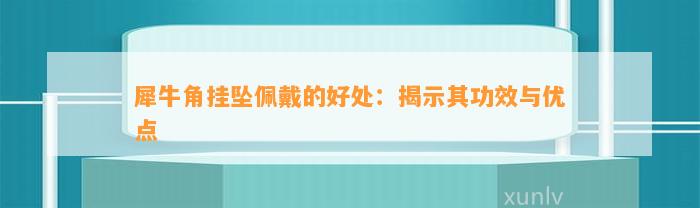 犀牛角挂坠佩戴的好处：揭示其功效与优点