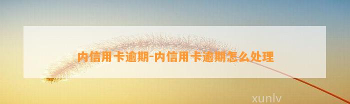 内信用卡逾期-内信用卡逾期怎么处理