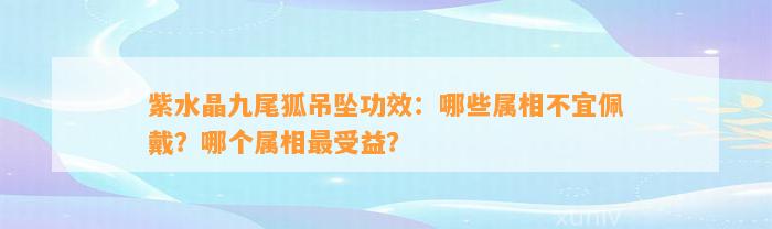 紫水晶九尾狐吊坠功效：哪些属相不宜佩戴？哪个属相最受益？